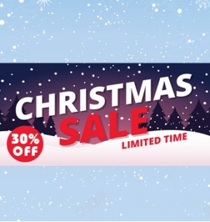 Merry Chrismas Sale 30% off
