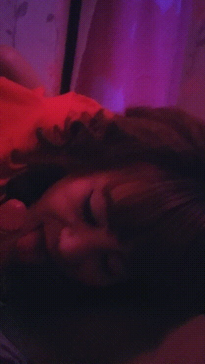 Image kam24112405.gif