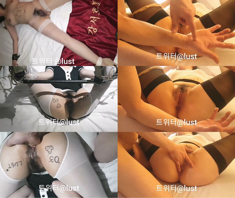 강서호텔 523 보짓물 감별사 러스트